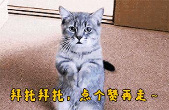 如何在魔力宝贝私服中保持游戏热情 如何在魔力宝贝私服中保持游戏热情